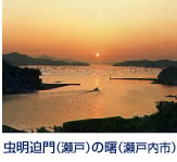 二百十日(9月1日)前後に、岡山ブルーライン虫明インターより東へ約1kmの虫明漁港東方海上から昇る日の出のことである。平清盛の父、忠盛が立ち寄り 「遙かに東天を望まんか、島は藍色にその間ただ一抹の光あり、…、漸く昇りて 海面を離るるや台上、閑かに金玉を載せたるが如し」と、この地にあった古寺の柱に残されたと伝えられています。代表的な短歌として「虫明の迫門の曙 見る折りぞ 都のこともわすられにけり(玉葉集)」。 JR邑久駅発瀬溝行バスにて虫明港口下車。