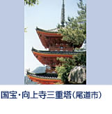 永享4年(1432年)に当時の生口島の領主、小早川信元・信昌によって建立さ れた向上寺三重塔。様式は和様・唐様の混合で、朱色の鮮やかな外観がとても 印象的。この塔は室町時代初期に建てられたものの中で最も美しいものの一つに数えられています。 瀬戸田港より徒歩で15分。